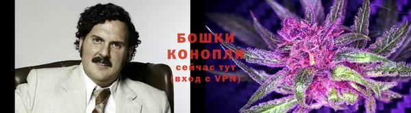 ГАЛЛЮЦИНОГЕННЫЕ ГРИБЫ Балабаново