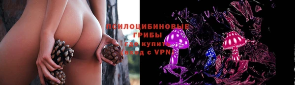 mdpv Балахна