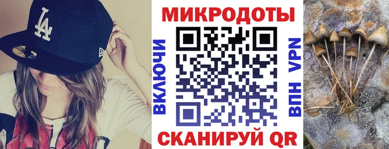 Купить  Узловая  Псилоцибиновые грибы ЛСД 